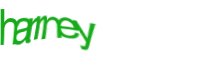 There is supposed to be an image captcha here, you could refresh the page or press the {0} button to try getting another image.